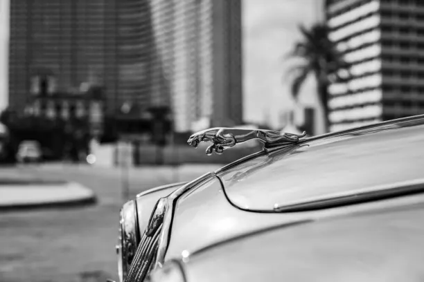 Καζίνο Πριζε Λανδ Μπινγο Εφαρμογή Android/iOS